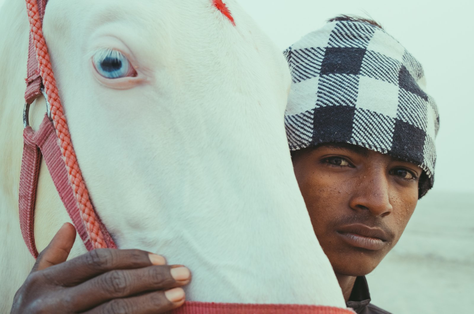 Horse And The Boy, Varanasi